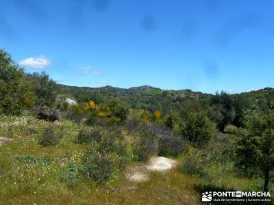 Piedra Escrita Diosa Diana; excursiones de senderismo; viajes otoño;muniellos